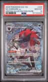 N'S Zoroark Ex