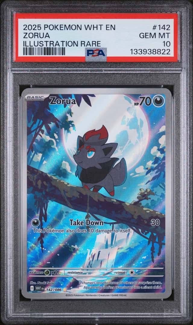 Zorua