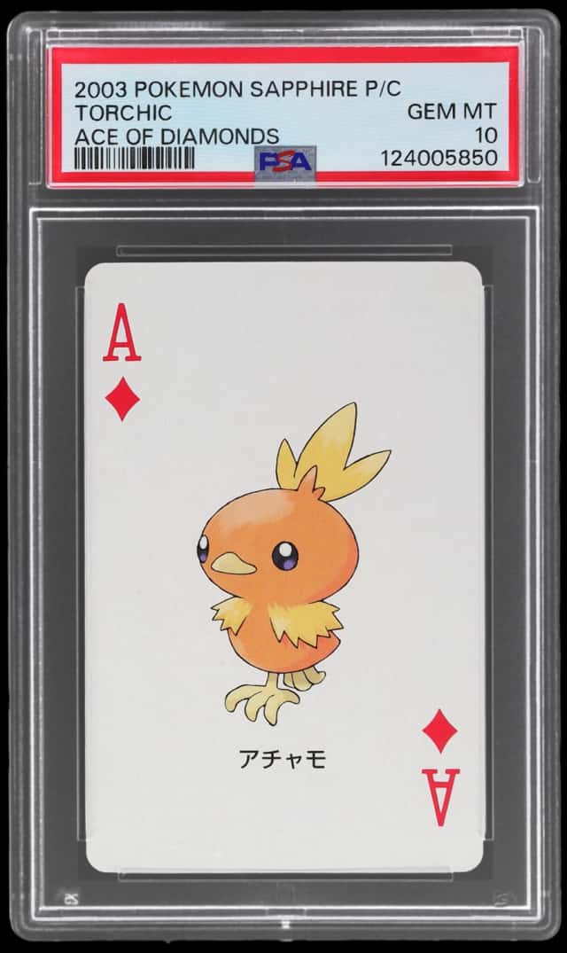 Torchic