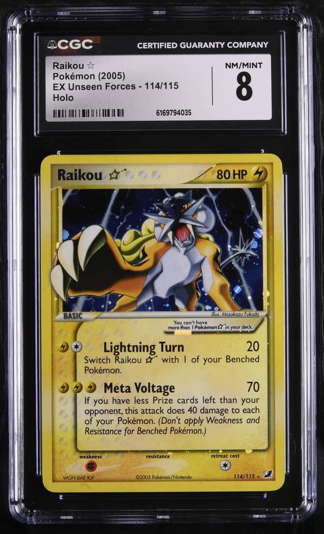 Raikou