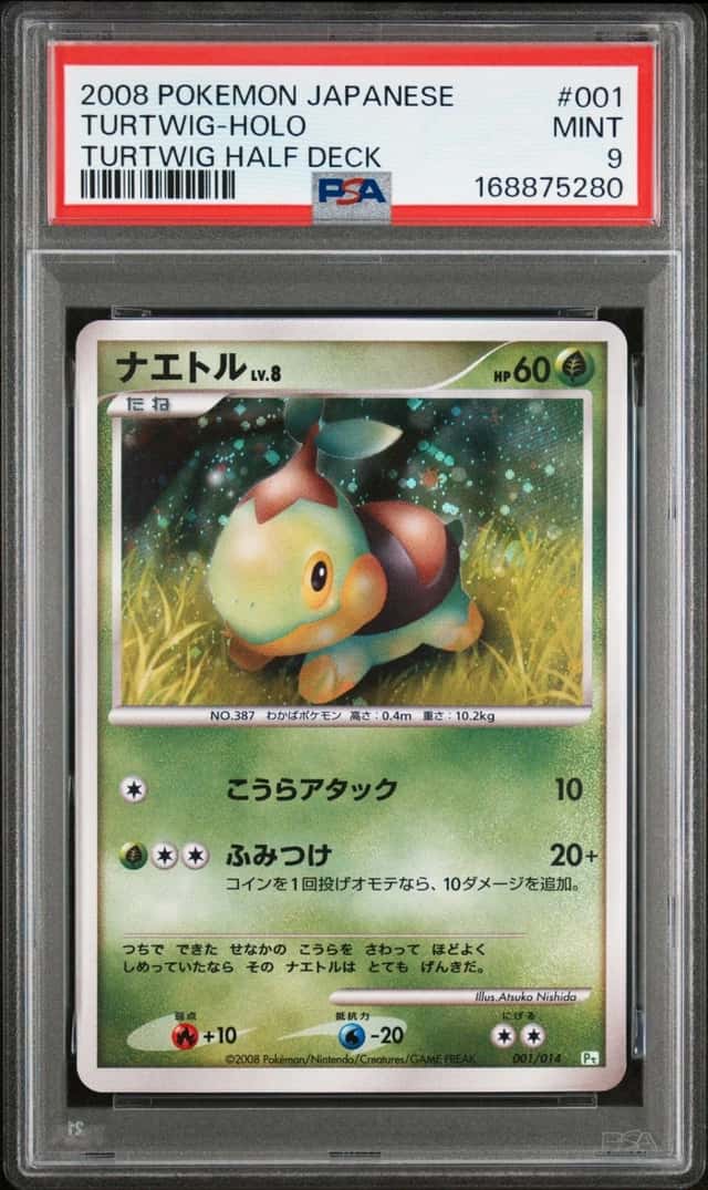 Turtwig