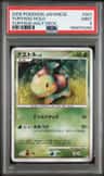 Turtwig