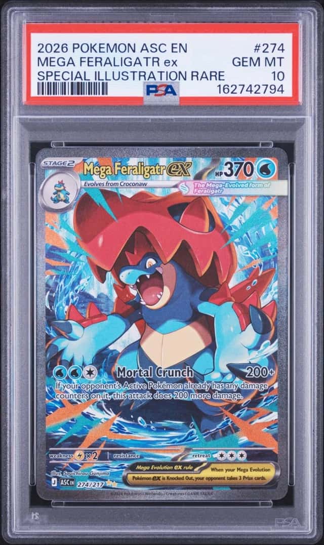 MEGA FERALIGATR ex