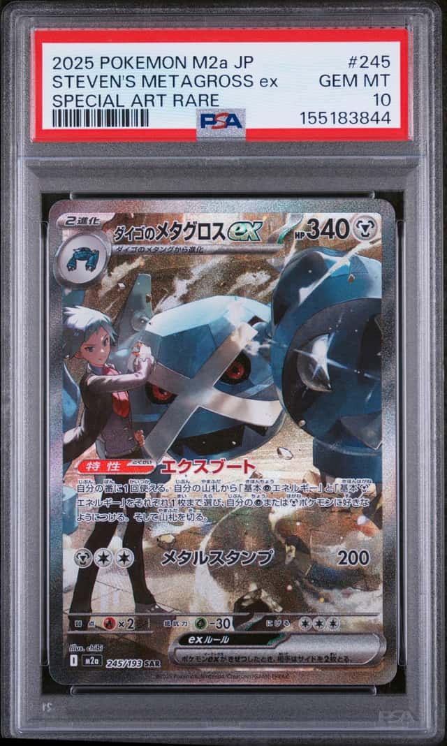 STEVEN'S METAGROSS ex