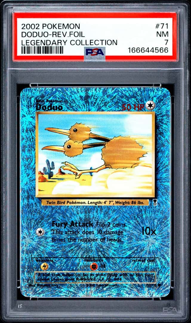 Doduo