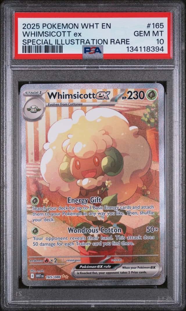 WHIMSICOTT ex