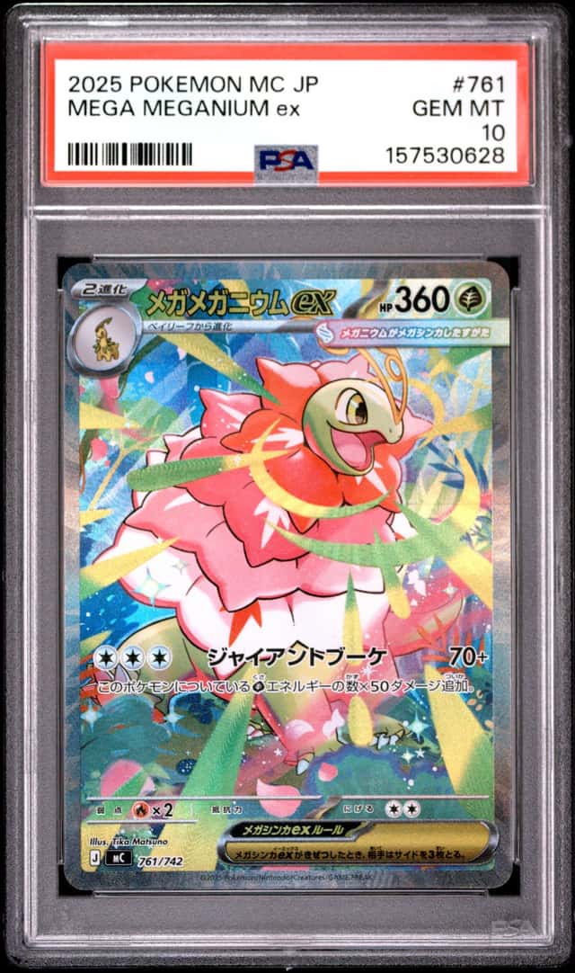 MEGA MEGANIUM ex