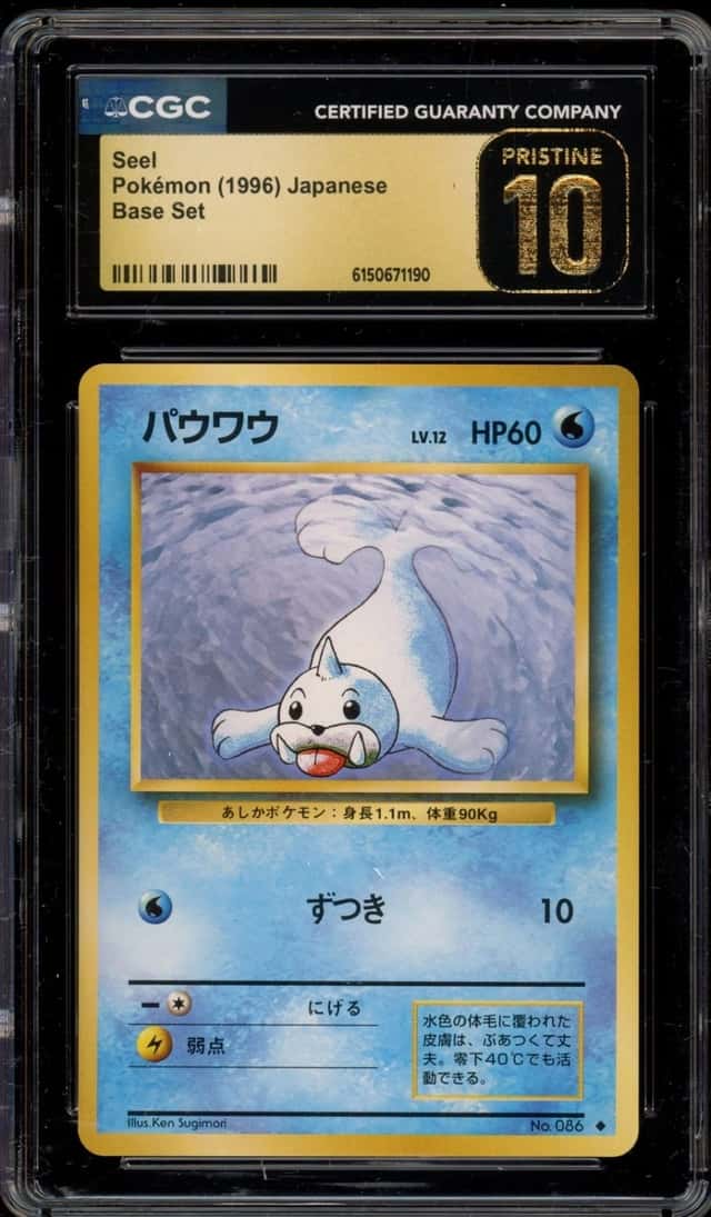 Seel