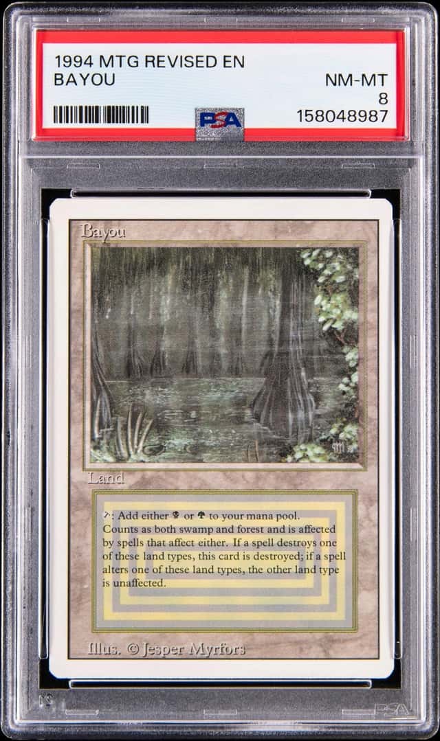 Bayou