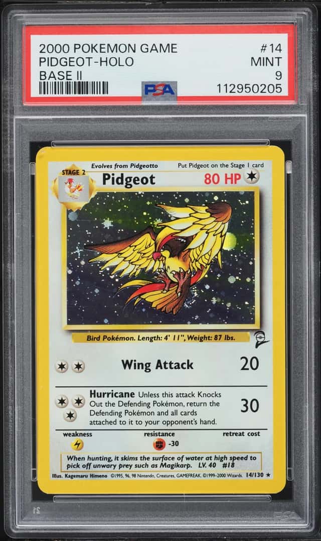 Pidgeot