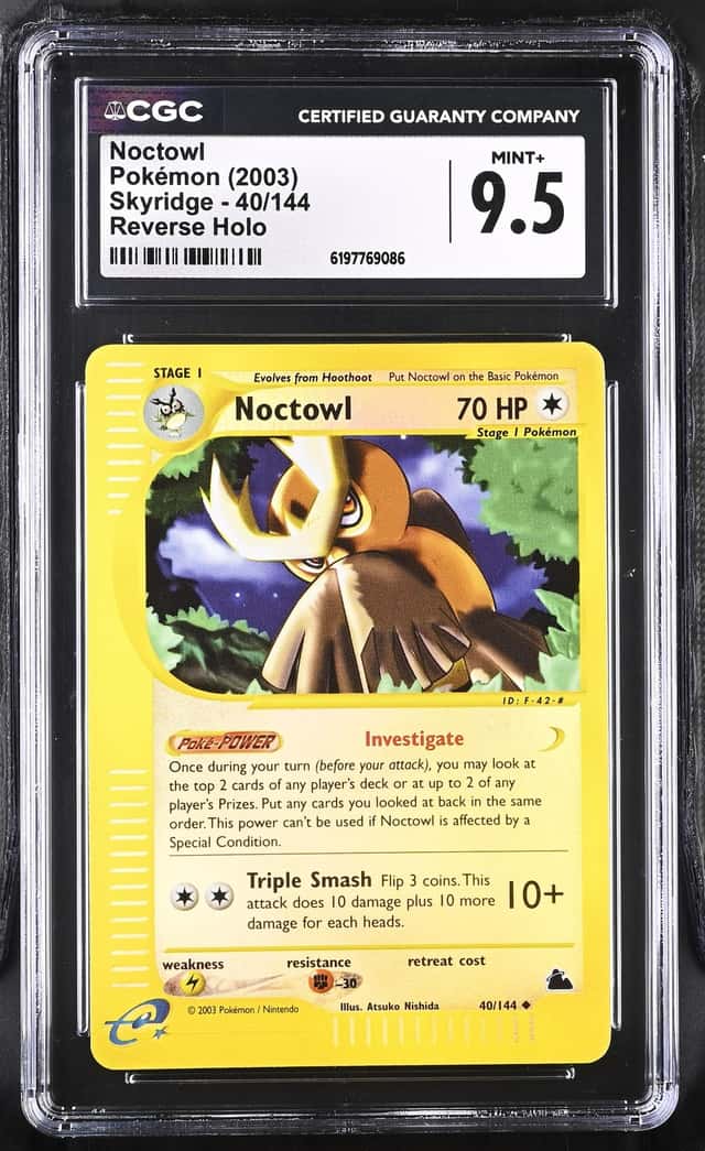 Noctowl
