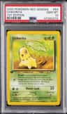 Chikorita