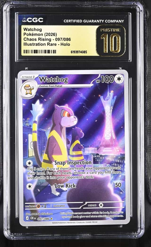 Watchog