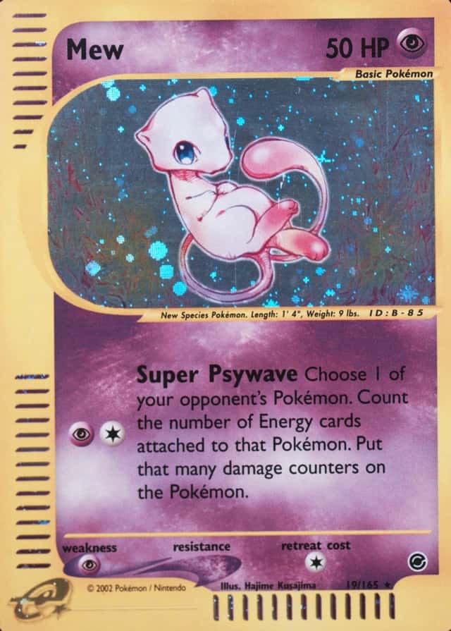 Holo