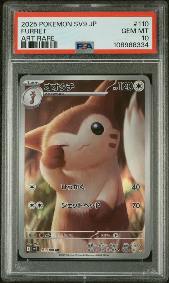 Furret