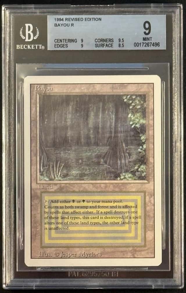 Bayou