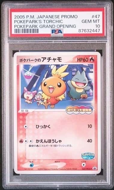 Pokepark's Torchic