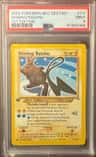 Shining Raichu