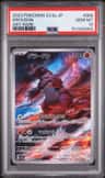 Groudon