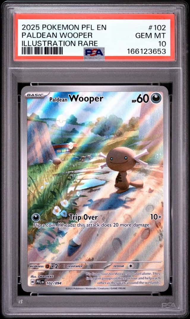 Paldean Wooper