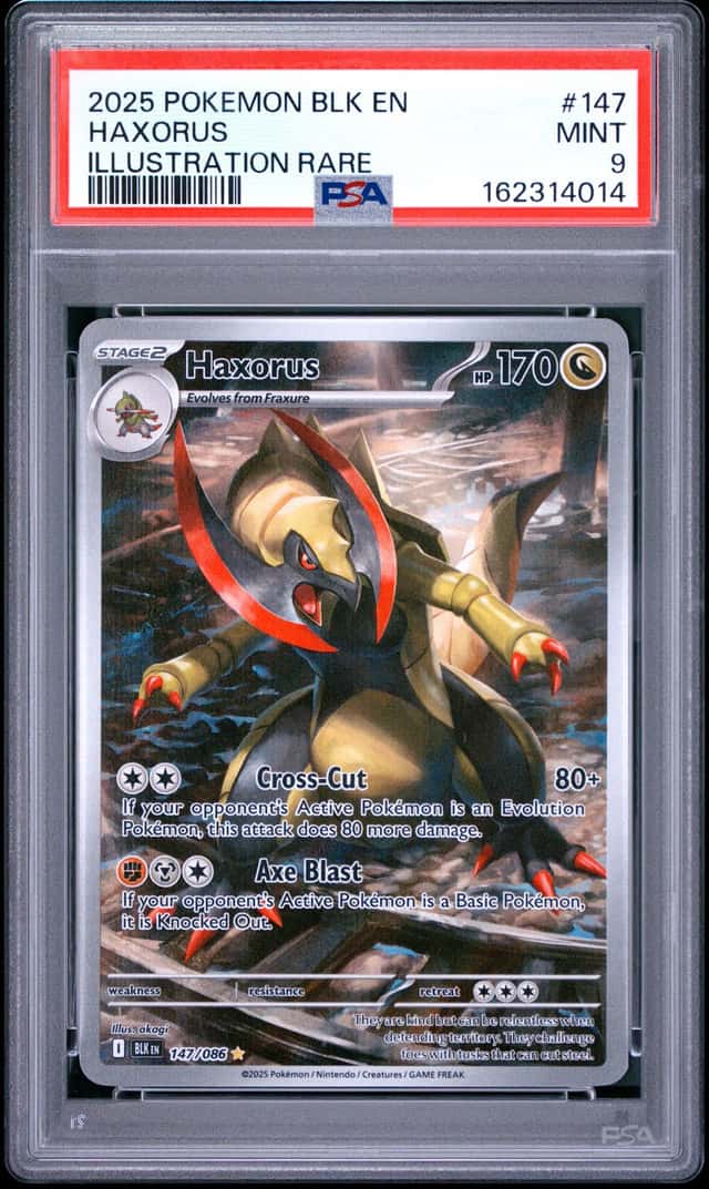 Haxorus