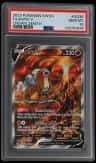Entei V