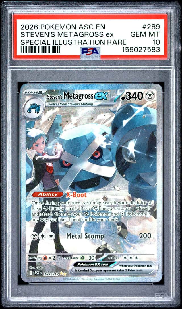 STEVEN'S METAGROSS ex