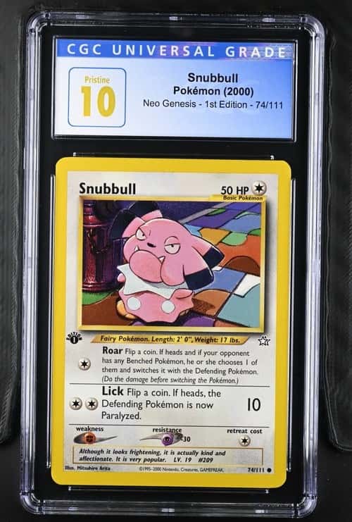 Snubbull