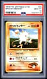Brock'S Mankey