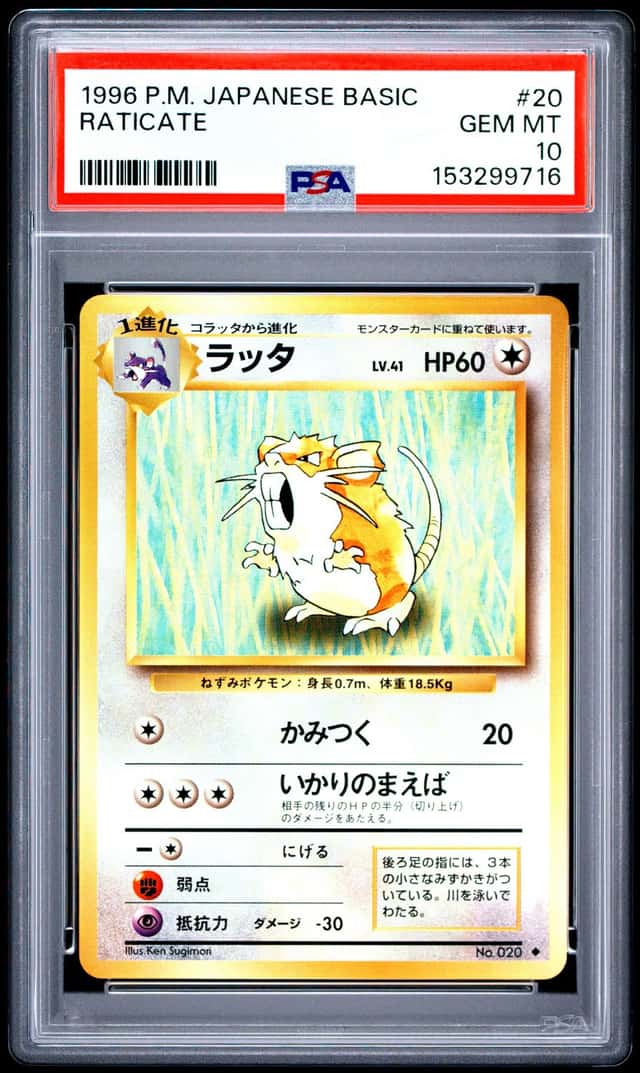 Raticate