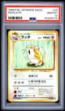 Raticate