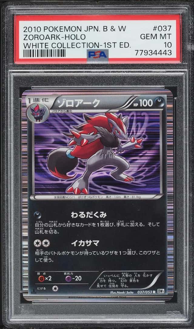Zoroark