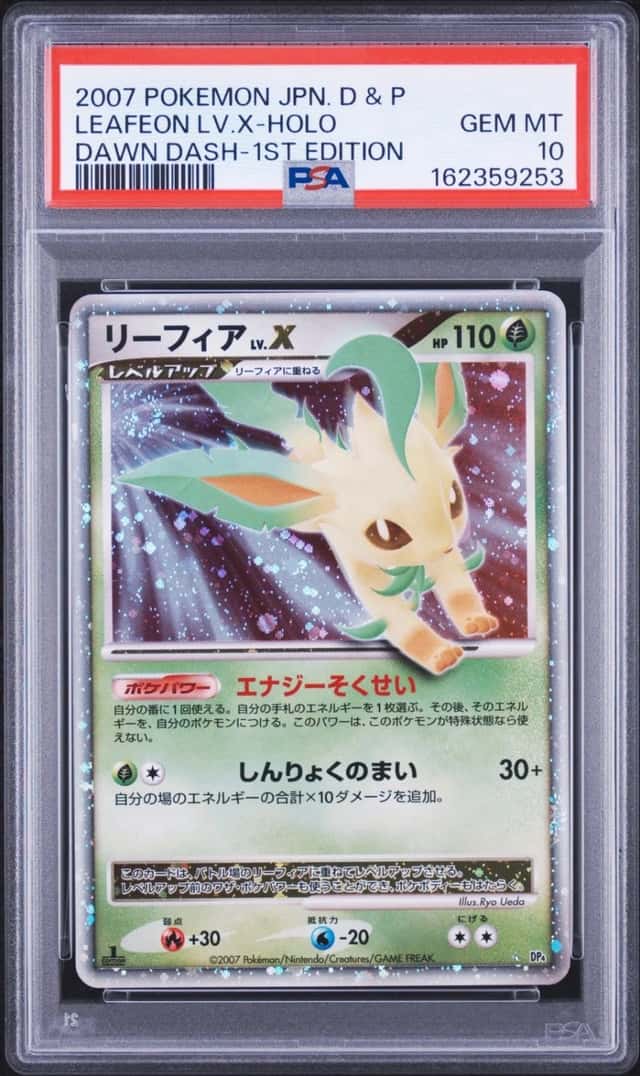 Leafeon Lv X