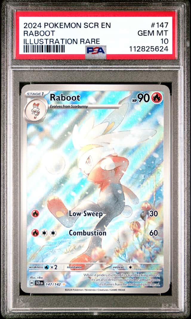 Raboot 147/142 Sv07: Stellar Crown Holo PSA 10 Rare Pokémon 