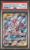 Mewtwo & Mew Gx