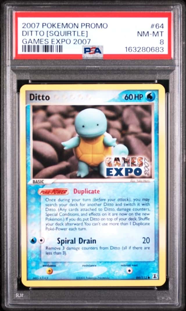 Ditto [Squirtle]