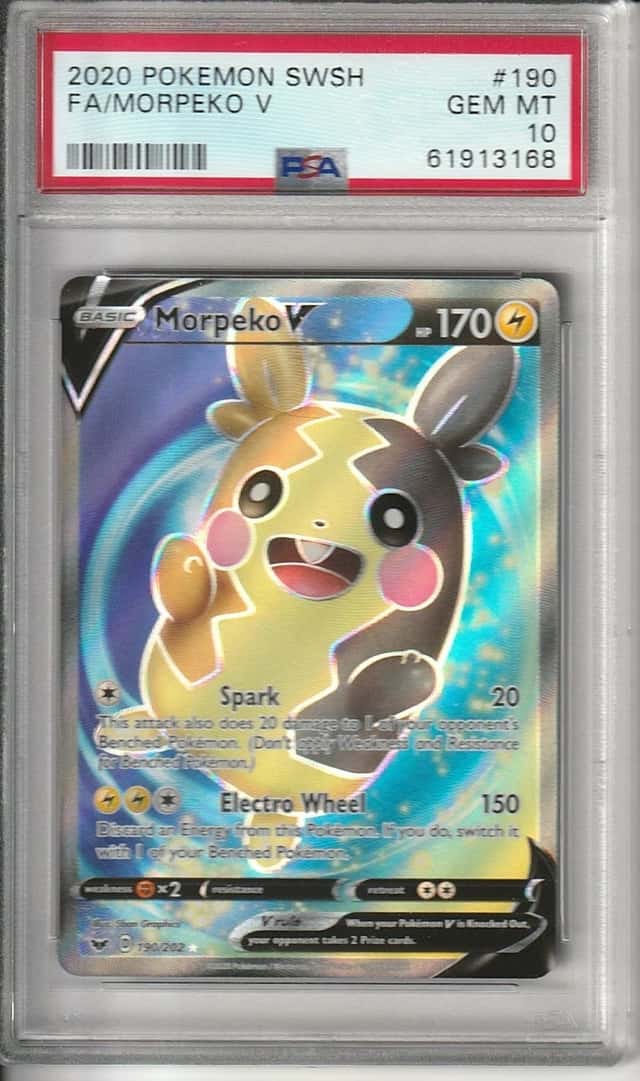 Morpeko V