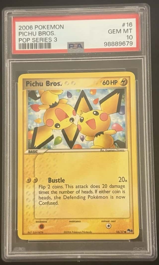Pichu Bros