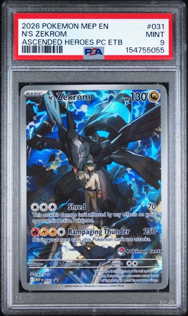 N's Zekrom