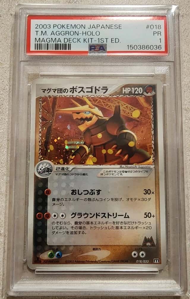 Team Magma's Aggron