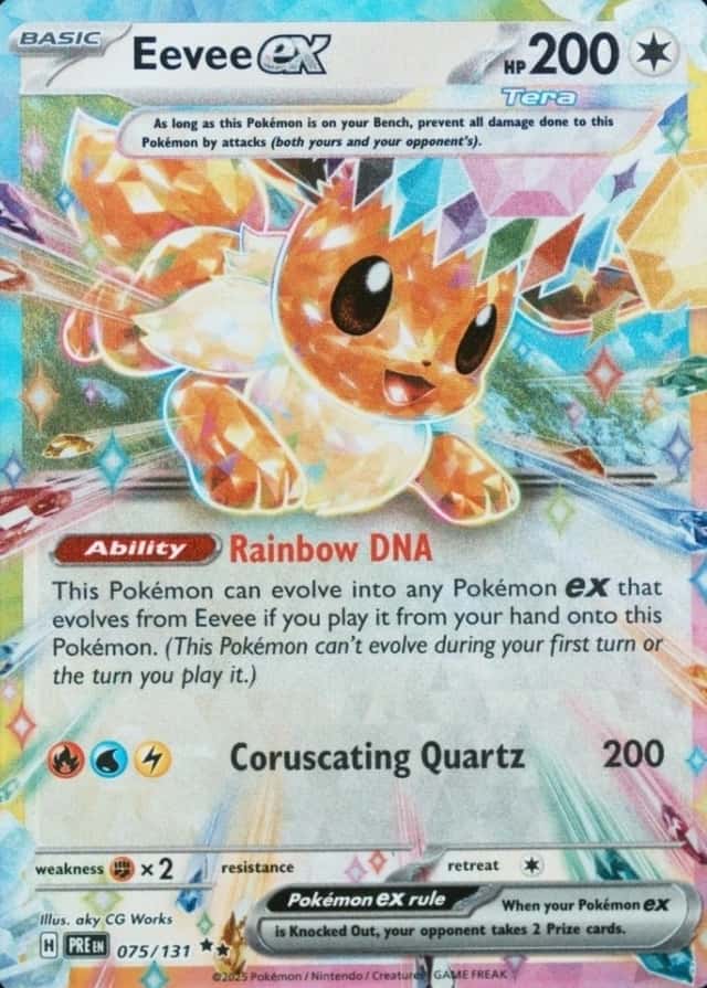 Holo
