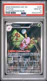 Dustox
