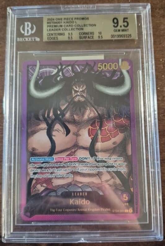 Kaido