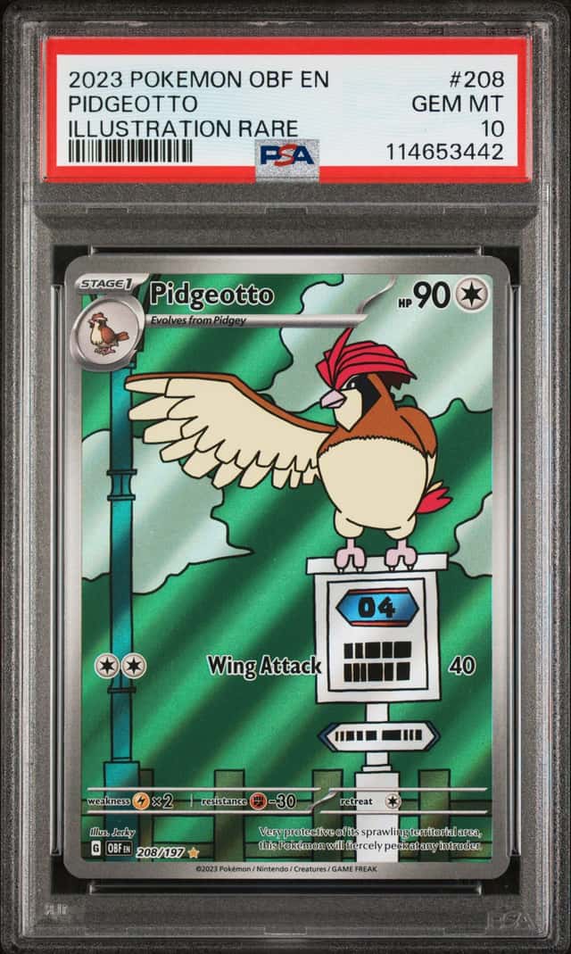 Pidgeotto