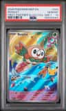 Rowlet