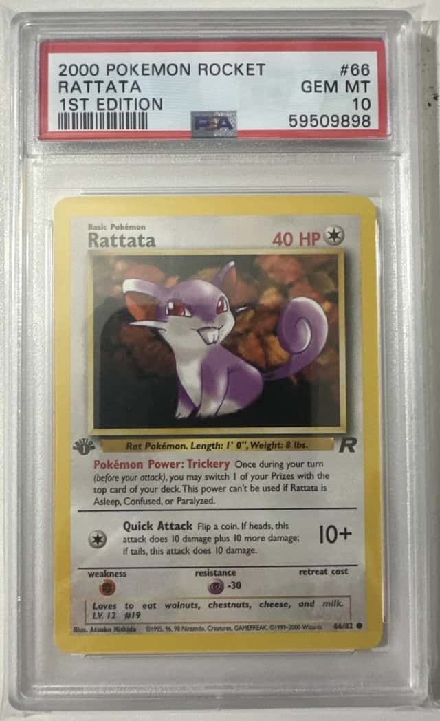 Rattata