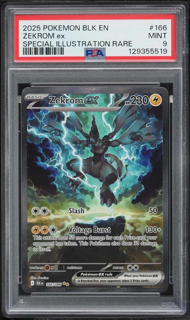ZEKROM ex