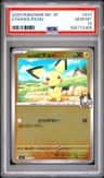 Ethan'S Pichu