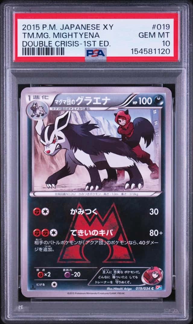 TM.MG. MIGHTYENA