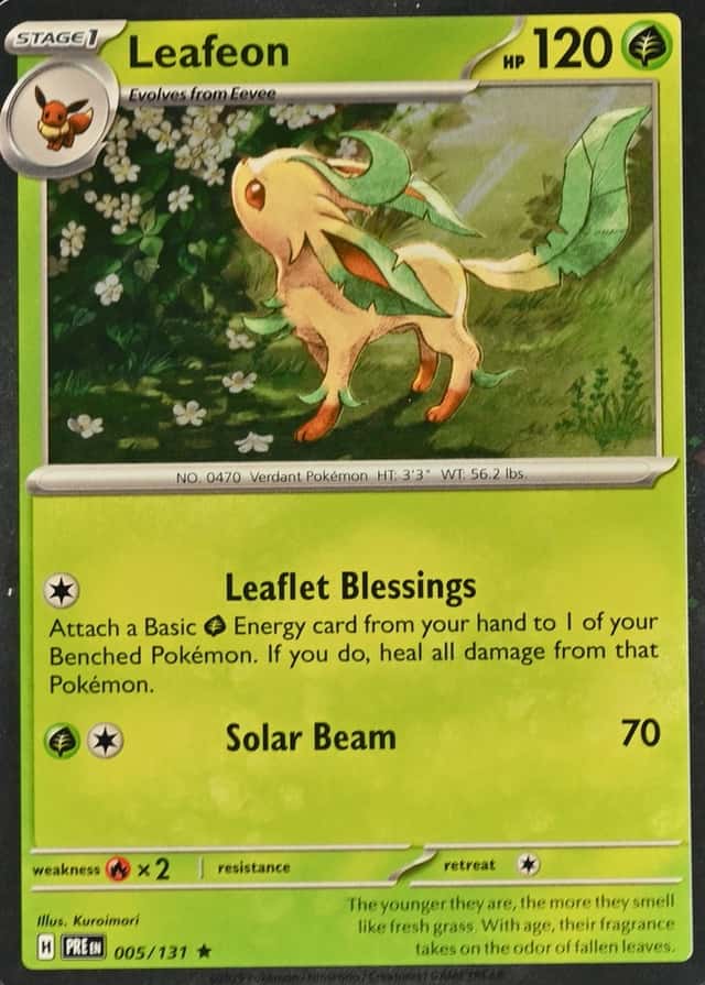 Base / no variant